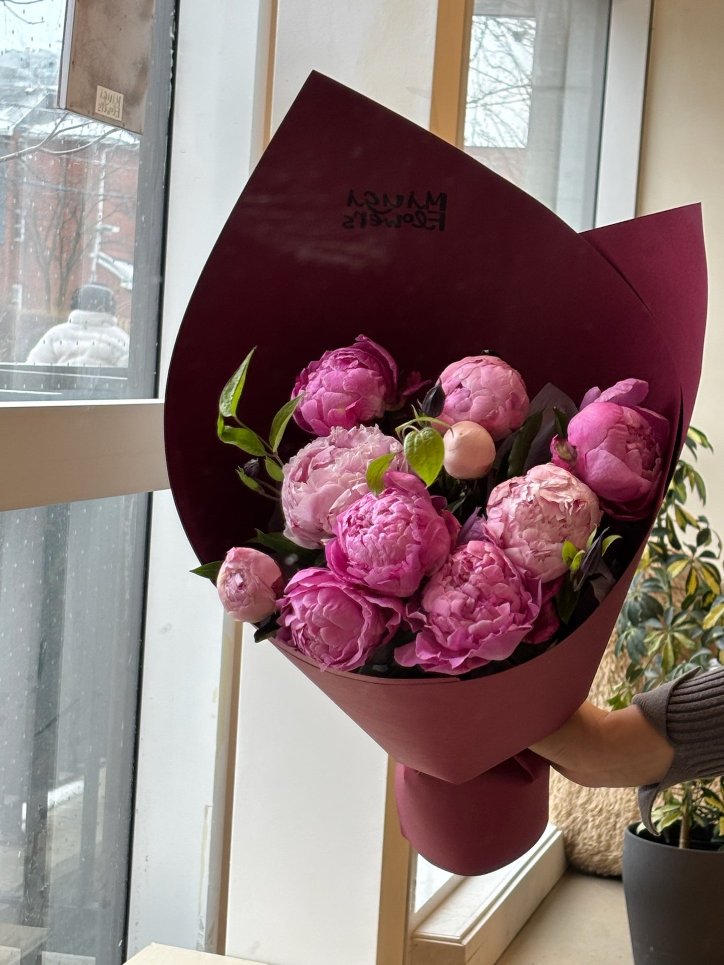 Peony Peony - Standard
