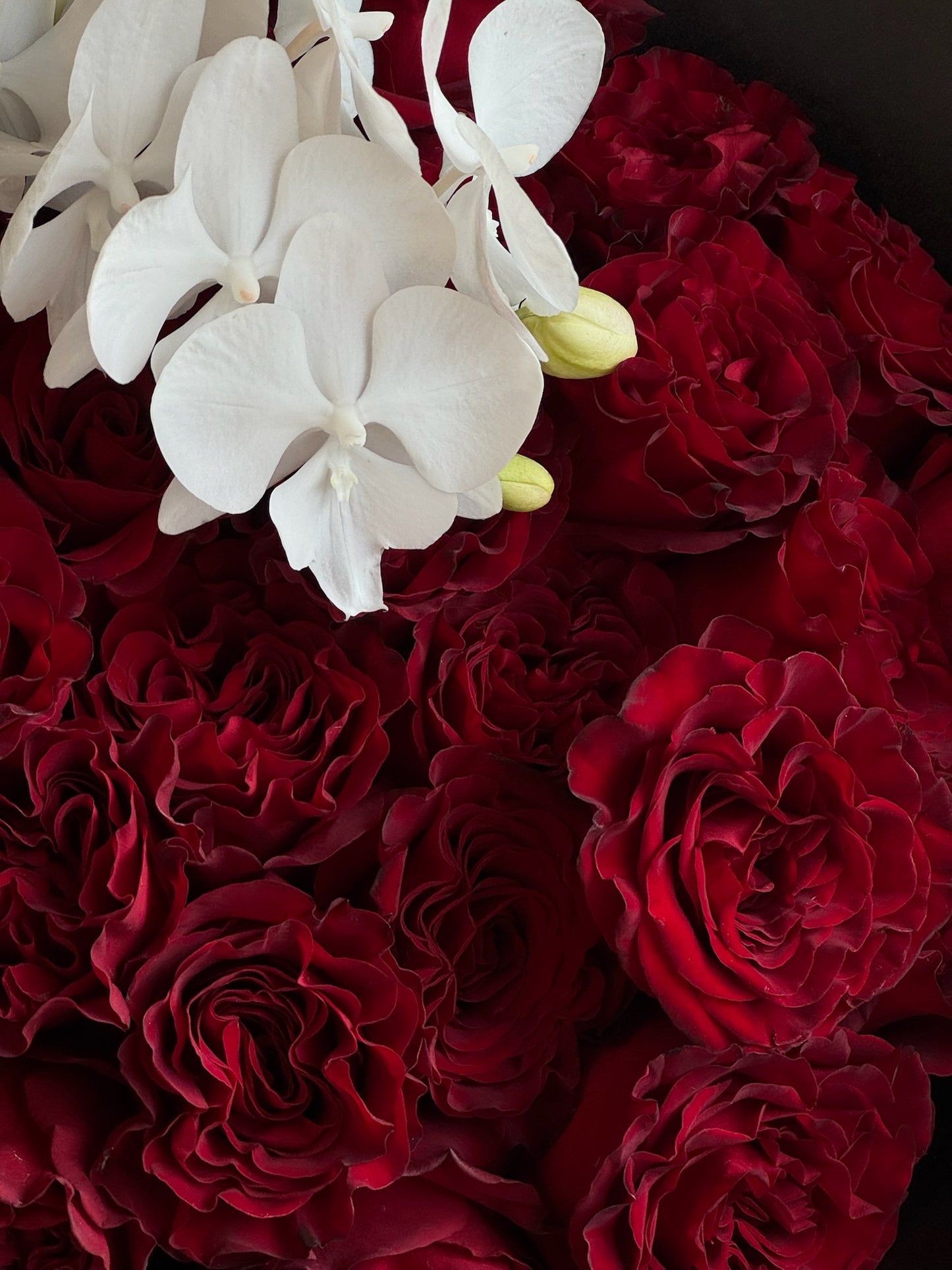 Grand Amour
