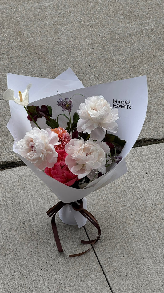 Peony Designer’s Choice