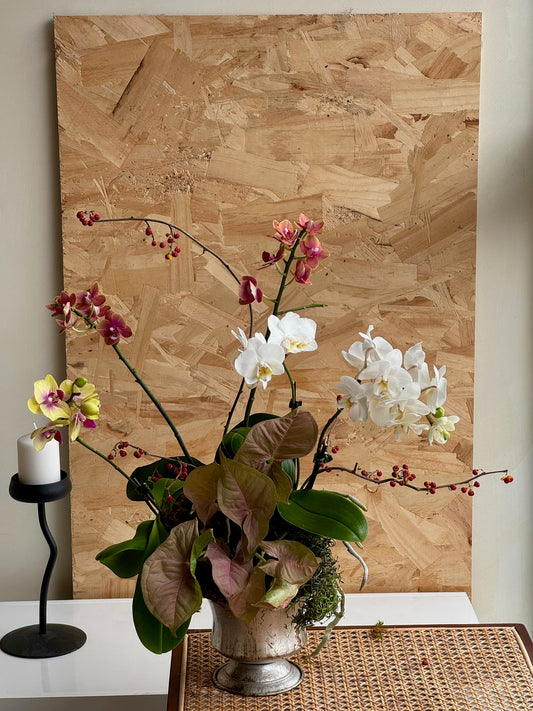 Living Orchid Vase Arrangement